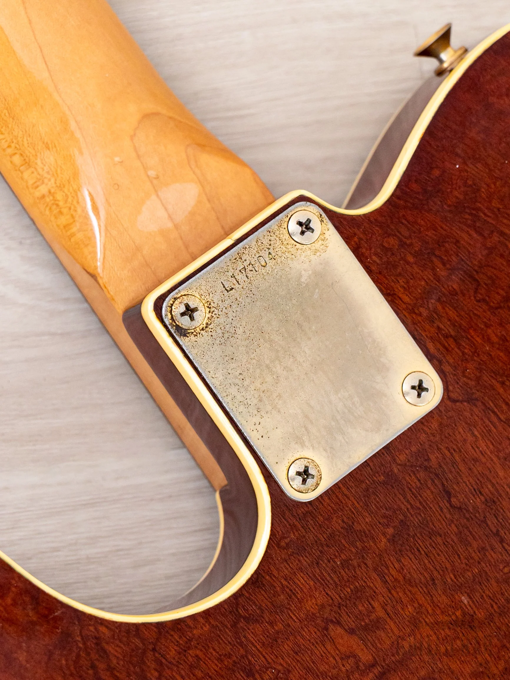 1984 Tokai Breezysound TTE60 TM T-Style Custom Vintage Guitar Tortoiseshell Mahogany w/ Tweed Case - Image 16